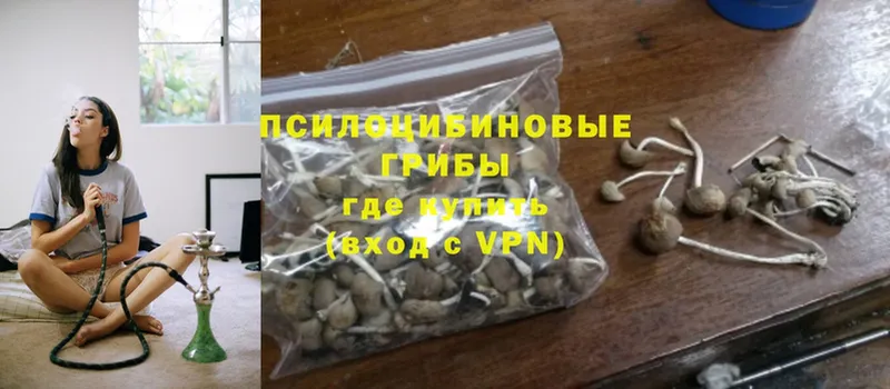 Галлюциногенные грибы Psilocybine cubensis  купить наркоту  Мариинский Посад 